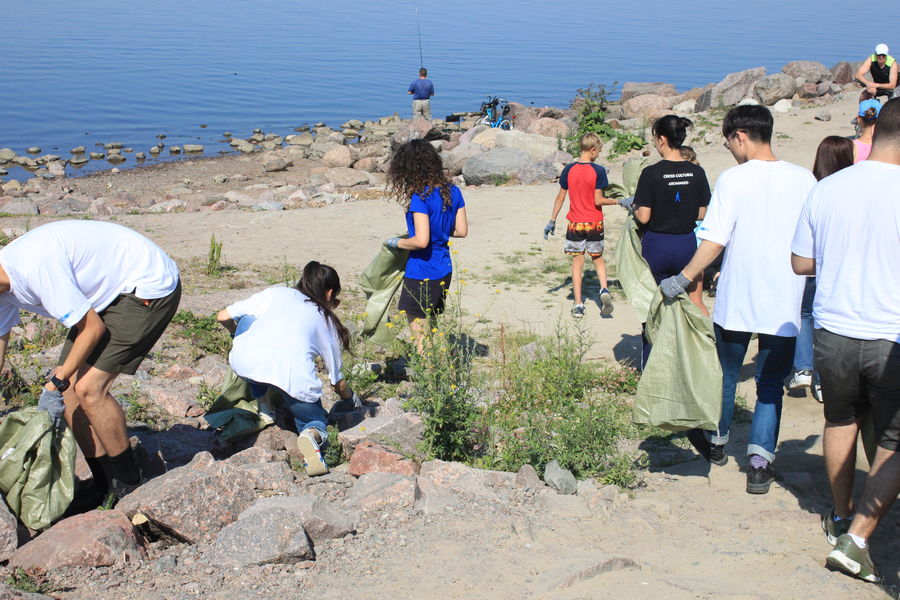 Жители просят регулярной помощи в вывозе мусора на берегу Финского залива